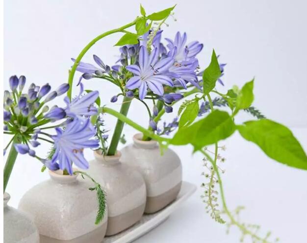 南寧花藝培訓(xùn)：日常居家插花教程分享