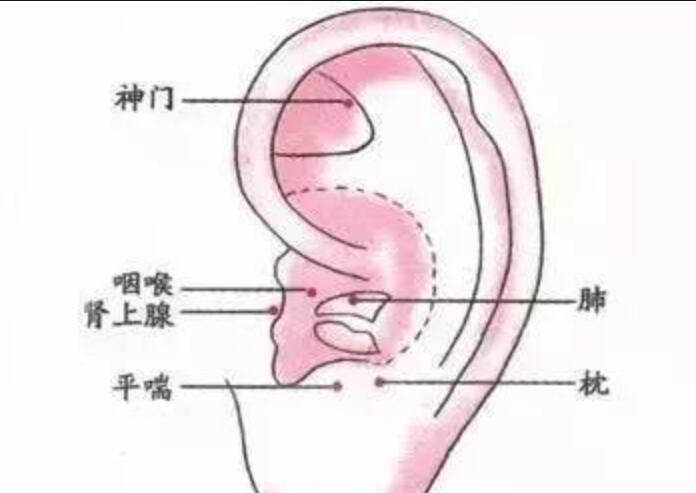 如何正確艾灸耳朵？南寧美容學(xué)校幫你整理教程