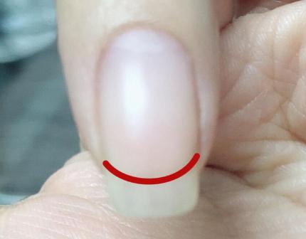 廣西美甲資訊：什么是扇形甲？