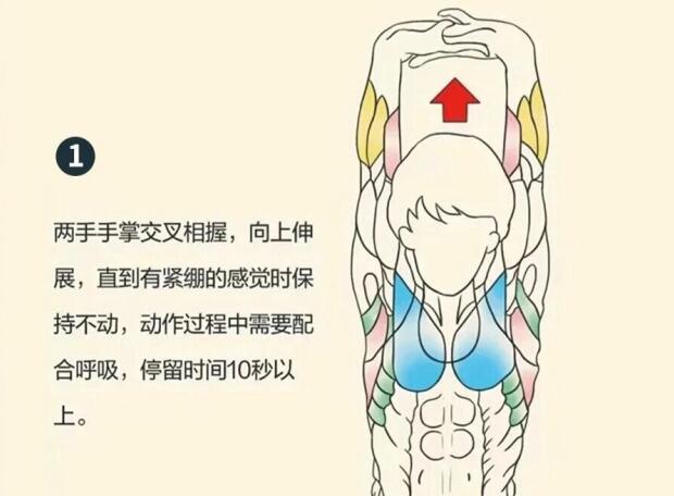 南寧美容師培訓(xùn)要學(xué)什么？背部護理就是其中一項