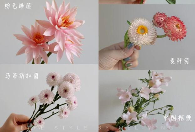 認識常見花朵的名稱，廣西插花學?；ㄋ嚺嘤?xùn)基礎(chǔ)