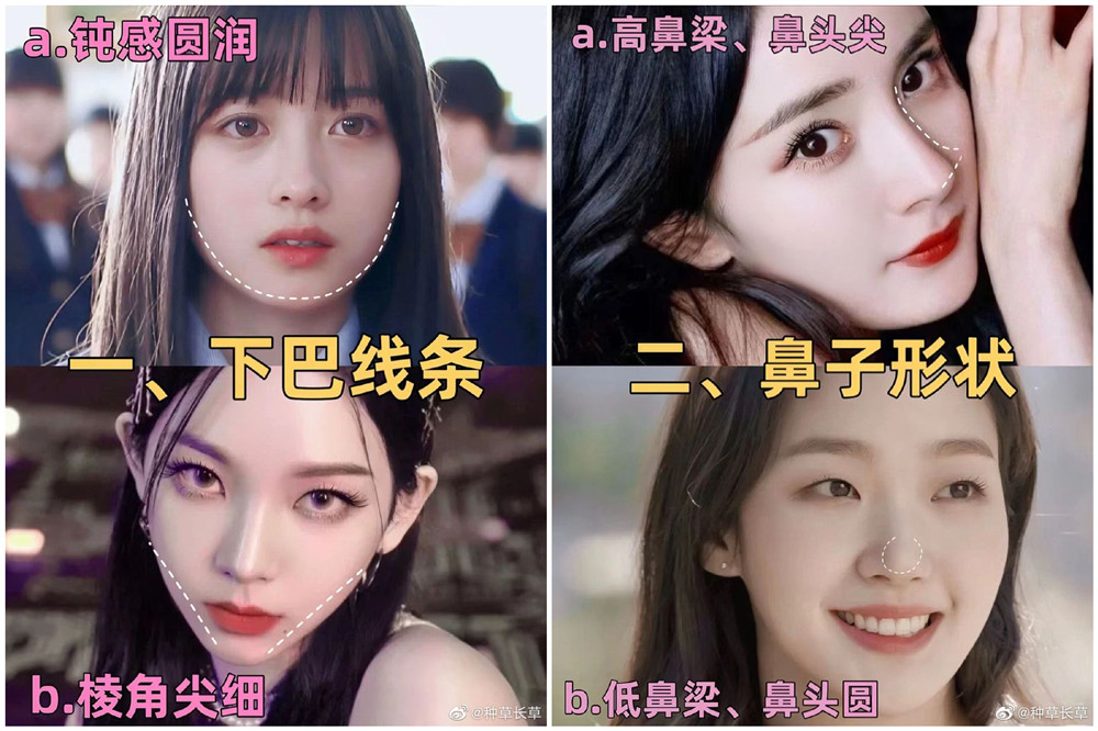 彩妝妝容分析分享：自測動物系長相？