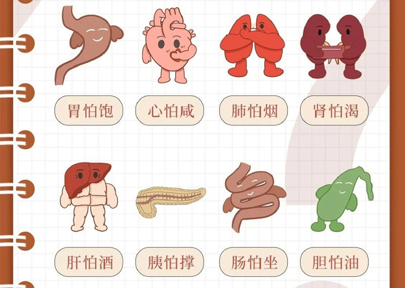 如何進行健康管理？廣西美容美體管理學校做法分享