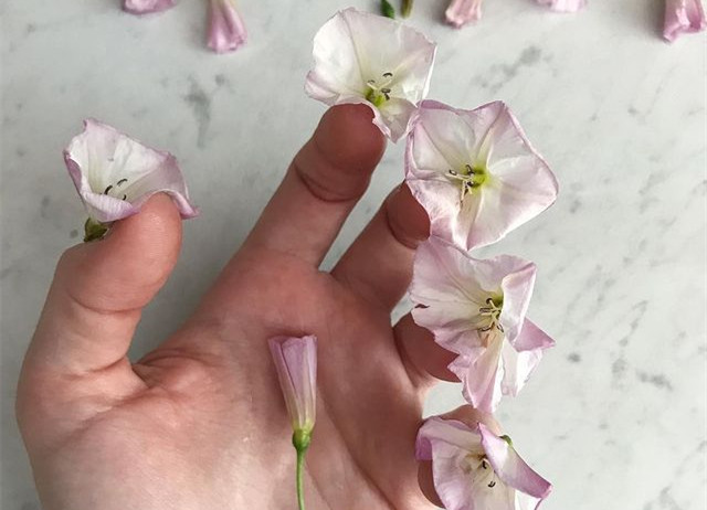 植物藝術(shù)美甲，南寧美甲造型設(shè)計培訓分享