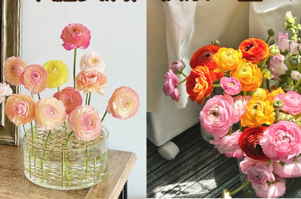 小眾但花語很美的花卉，南寧鮮花知識培訓(xùn)