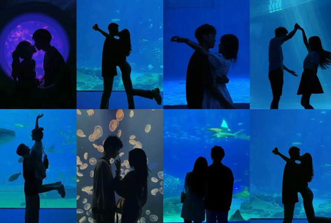 在海洋館怎么拍照？廣西人物形象設(shè)計(jì)專業(yè)支招